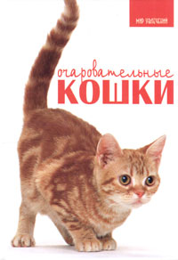 Книга: Очаровательные кошки (Принс К.) (Карен Принс) ; Феникс, 2006 
