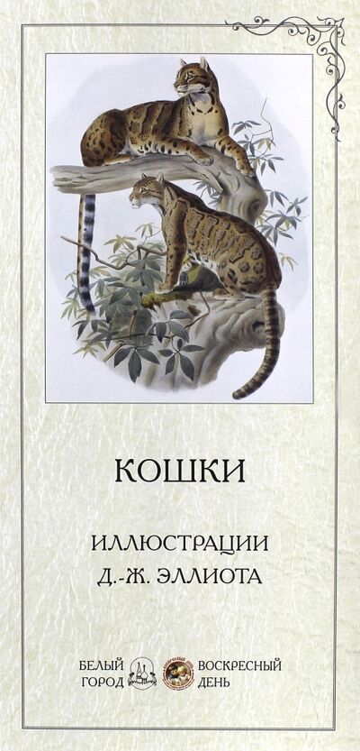 Книга: Кошки. Иллюстрации Д.-Ж. Эллиота (Жукова Т.) ; Белый город, 2015 