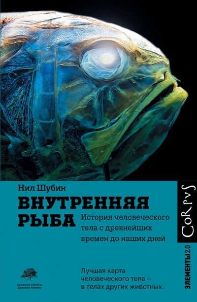 Книга: Внутренняя рыба. История человеческого тела с древнейших времен до наших дней (Шубин Нил) ; Corpus, 2021 