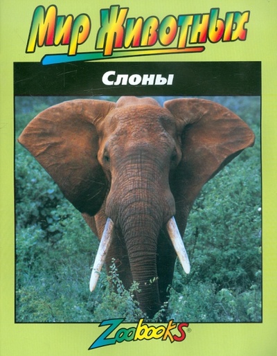 Книга: Слоны (Веско Джон Боннет) ; Попурри, 1998 