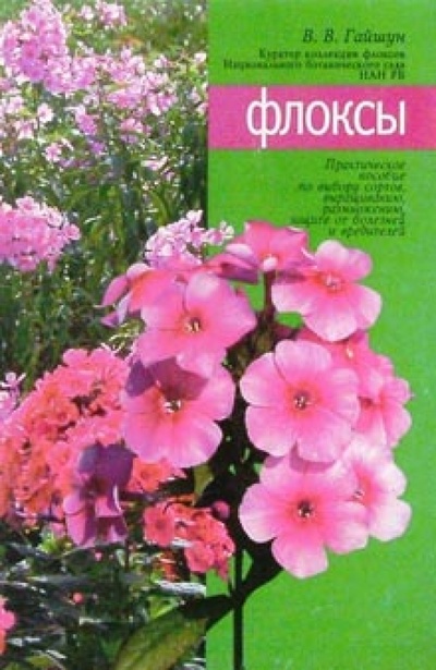 Книга: Флоксы (Гайшун Валентина) ; МСП, 2004 