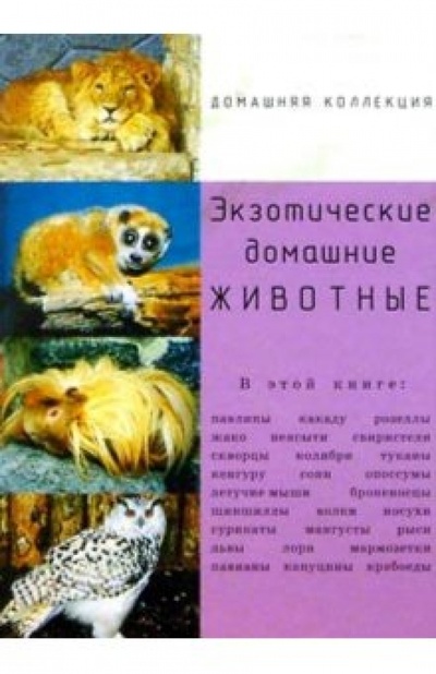 Книга: Экзотические домашние животные (Шинкаренко Инга) ; Урал ЛТД, 2002 