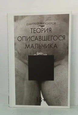 Книга: Теория описавшегося мальчика (Липскеров Дмитрий Михайлович) ; АСТ, 2013 