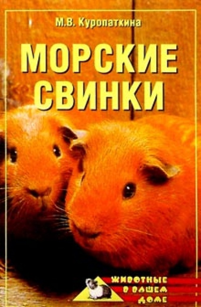 Книга: Морские свинки (Куропаткина Марина Владимировна) ; Вече, 2007 