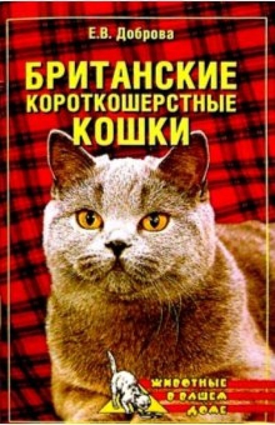Книга: Британские короткошерстные кошки (Доброва Елена Владимировна) ; Вече, 2003 