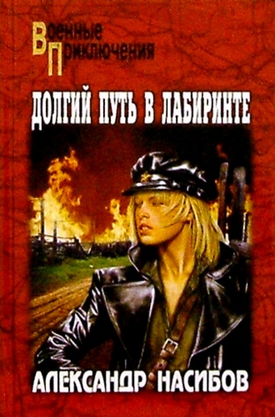 Книга: Долгий путь в лабиринте (Насибов Александр Ашотович) ; Вече, 2004 