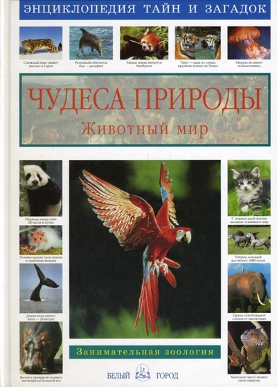 Книга: Чудеса природы. Животный мир (Калашников Виктор Иванович) ; Белый город, 2009 