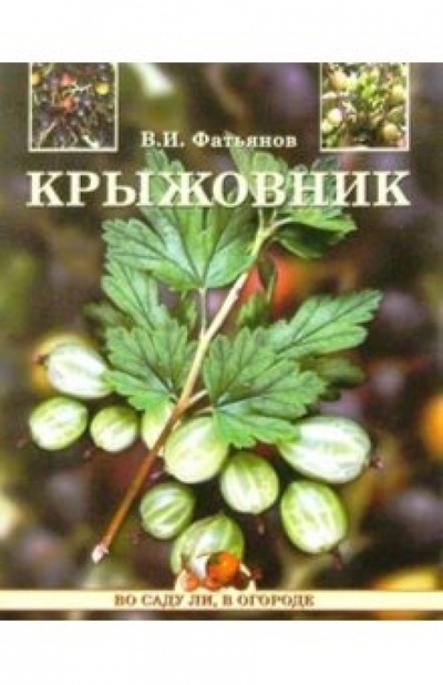 Книга: Крыжовник (Фатьянов Владислав Иванович) ; Вече, 2005 