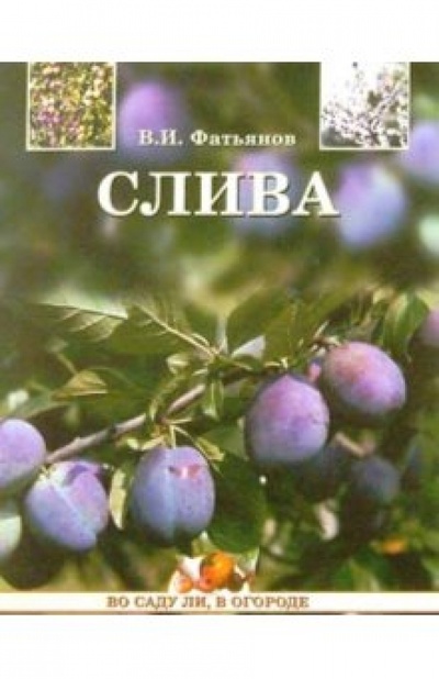 Книга: Слива (Фатьянов Владислав Иванович) ; Вече, 2005 