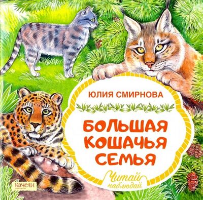 Книга: Большая кошачья семья (Смирнова Юлия Андреевна) ; Качели, 2019 