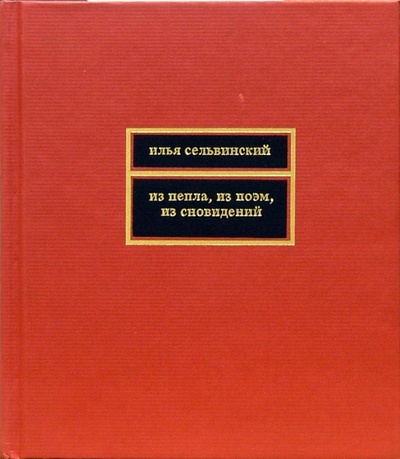 Книга: Из пепла, из поэм, из сновидений (Сельвинский Илья Львович) ; Время, 2004 