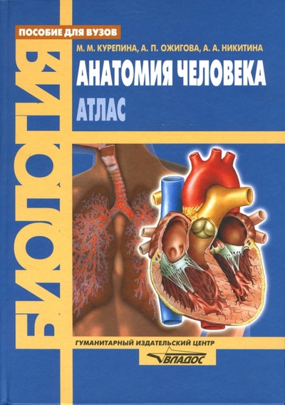 Книга: Анатомия человека: Атлас (Курепина Милица Михайловна, Ожигова Аида Павловна, Никитина Анна Алексеевна) ; Владос, 2007 
