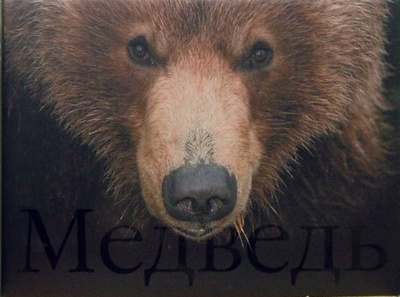 Книга: Медведь (Горшков Сергей) ; Белый город, 2008 