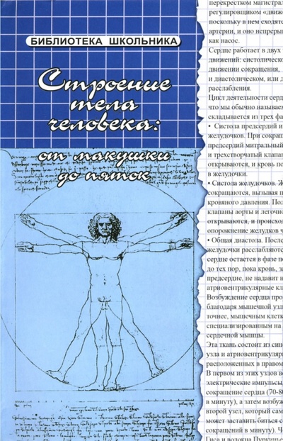 Книга: Строение тела человека: от макушки до пяток (Соколова Наталья Глебовна) ; Феникс, 2007 