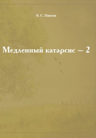 Книга: Медленный катарсис - 2 (Пшизов Владимир Сергеевич) ; Нестор-История, 2017 
