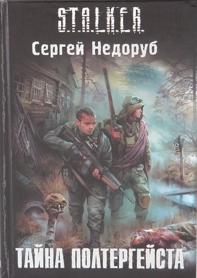 Книга: Тайна полтергейста (Недоруб Сергей Иванович) ; АСТ, 2010 