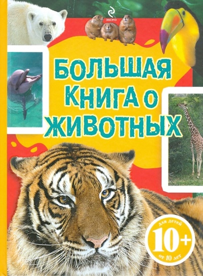 Книга: Большая книга о животных (Джудичи К., Каневаро Сильвия, Ратто Симона) ; Эксмо, 2010 