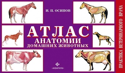 Книга: Атлас анатомии домашних животных (Осипов Иван Прокопьевич) ; Аквариум-Принт, 2009 