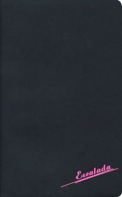 Ежедневник недатированный "Софт-тач" (А5, 96 листов, черный с неоново-розовым) (47472) Феникс+ 