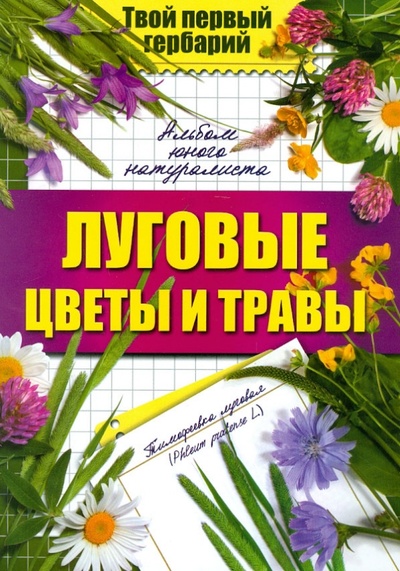Книга: Луговые цветы и травы; Доброе слово, 2012 