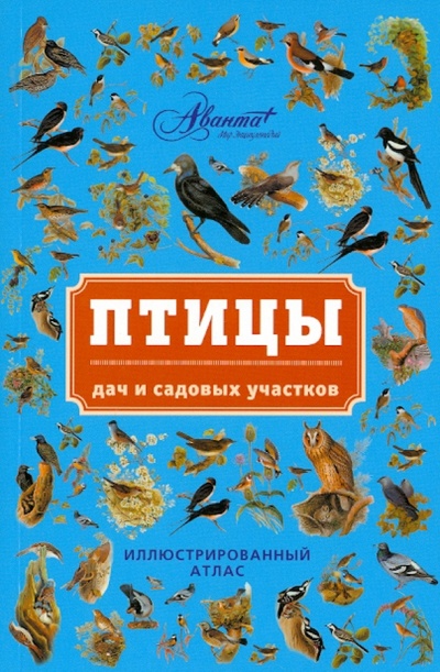 Книга: Птицы дач и садовых участков (Бабенко Владимир Григорьевич) ; Астрель, 2012 