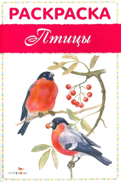 Книга: Раскраска "Птицы"; Стрекоза, 2014 