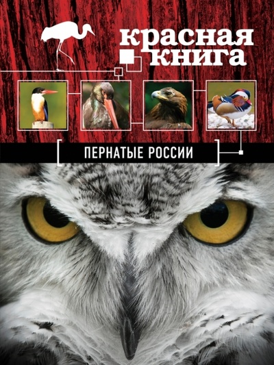 Книга: Красная книга. Пернатые России (Скалдина Оксана Валерьевна) ; Эксмо, 2013 