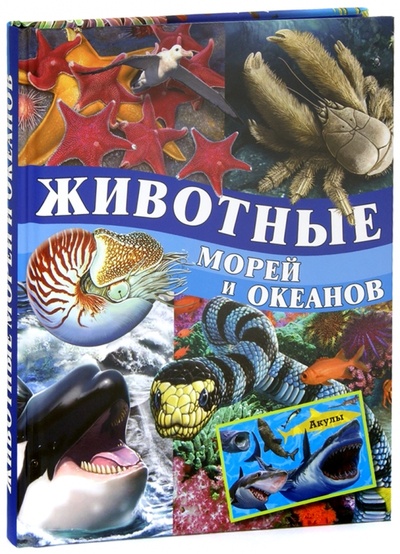 Книга: Животные морей и океанов (Родригес Кармен) ; Владис, 2013 