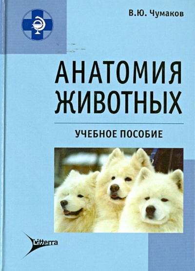 Книга: Анатомия животных: учебное пособие (Чумаков В. Ю.) ; ЛитТерра, 2013 
