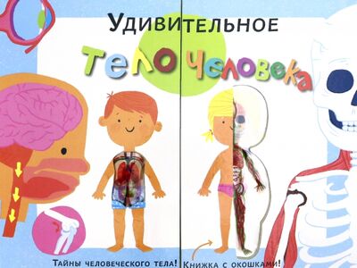 Книга: Тело человека (Банкрашков Александр Владимирович (переводчик)) ; Малыш, 2020 