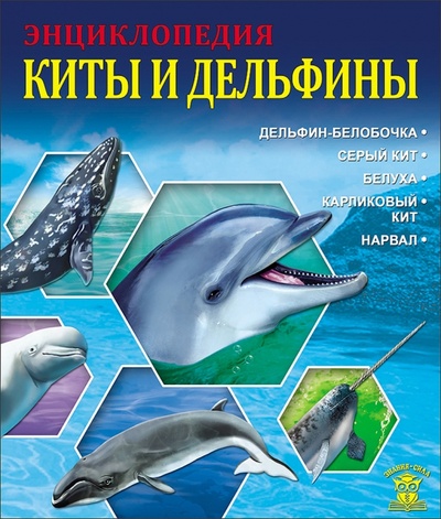 Книга: Киты и дельфины (Калугина Леся) ; Проф-Пресс, 2016 