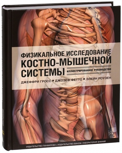Книга: Физикальное исследование костно-мышечной системы. Иллюстрированное руководство (Гросс Джеффри, Фетто Джозеф, Роузен Элейн) ; Издательство Панфилова, 2014 