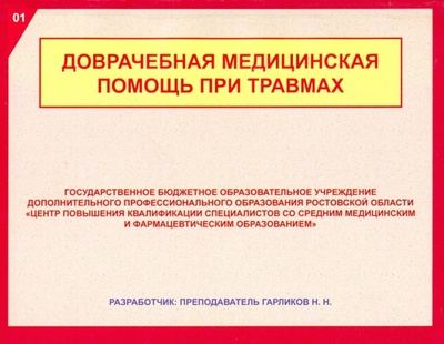 Книга: Доврачебная медицинская помощь при травмах (Н. Н. Гарликов) ; Мини Тайп, 2020 