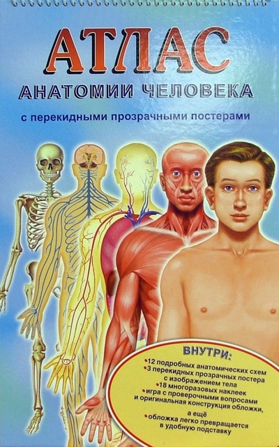Книга: Атлас анатомии человека с перекидными прозрачными постерами (малый) (Ганьон М., Мерсеро В.) ; Лабиринт, 2006 