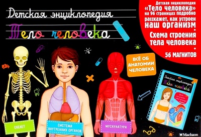 Книга: Тело человека. Интерактивная детская энциклопедия; Махаон, 2015 