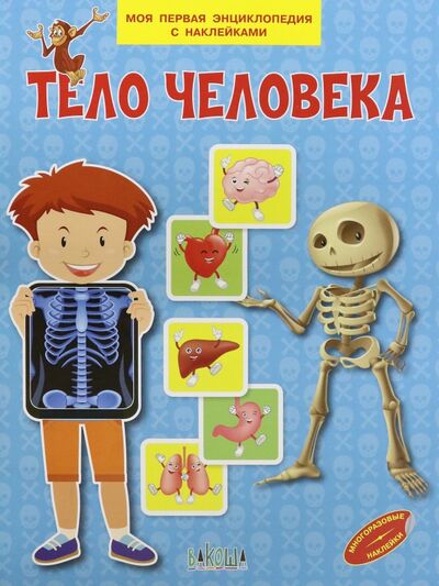 Книга: Тело человека (Шехтман Вениамин Маевич) ; Вакоша, 2022 