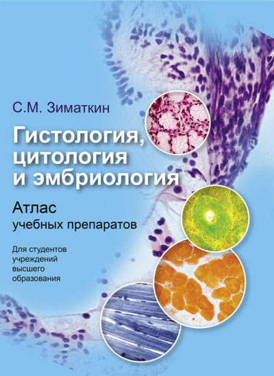 Книга: Гистология, цитология и эмбриология (Сергей Зиматкин) 