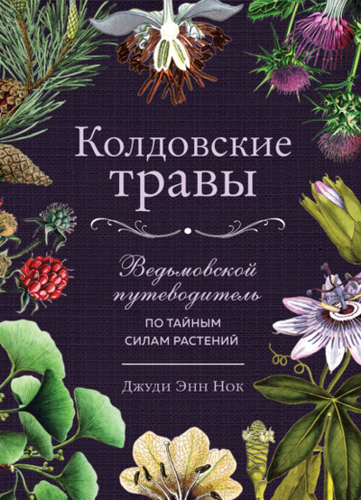 Книга: Колдовские травы. Ведьмовской путеводитель по тайным силам растений (Джуди Энн Нок) , 2019 