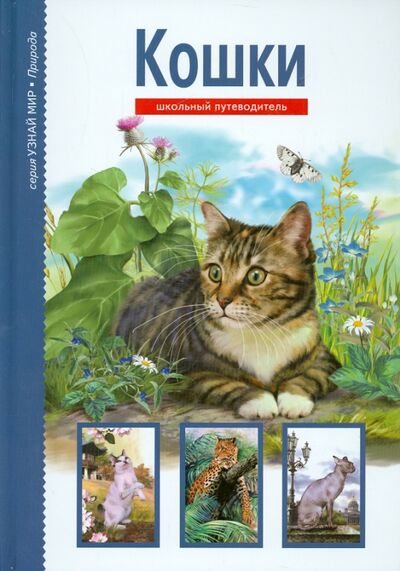 Книга: Кошки (Афонькин Сергей Юрьевич) ; Балтийская книжная компания, 2020 