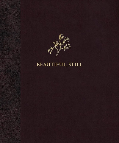Книга: Beautiful, Still by Colby Deal (Colby Deal) ; MACK book, 2022 