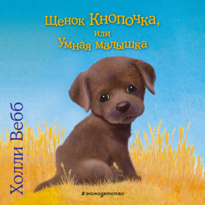 Книга: Щенок Кнопочка, или Умная малышка (Холли Вебб) , 2009 