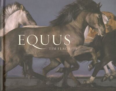 Книга: Equus (Flach Tim) ; Abrams, 2018 