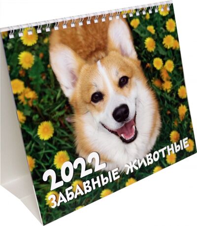 Календарь-домик (евро) Забавные животные. 2022 год Свежий ветер 