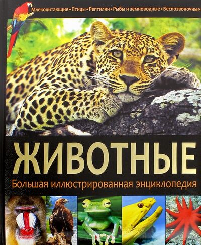 Книга: Животные (Феданова Юлия Валентиновна (редактор)) ; Владис, 2016 