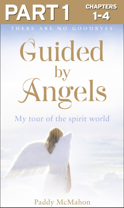 Книга: Guided By Angels: Part 1 of 3: There Are No Goodbyes, My Tour of the Spirit World (Paddy McMahon) 
