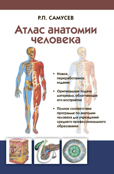 Книга: Атлас анатомии человека. Учебное пособие для студентов учреждений среднего профессионального образования (Р. П. Самусев) , 2022 