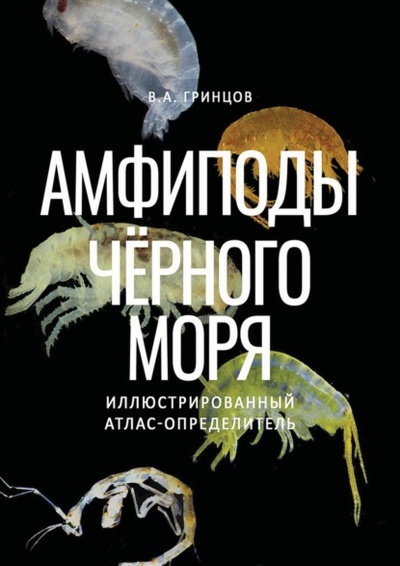 Книга: Амфиподы Черного моря. Иллюстрированный атлас-определитель (В. А. Гринцов) , 2022 