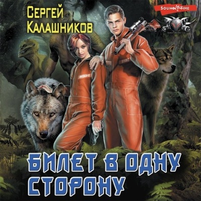 Книга: Билет в одну сторону (Сергей Калашников) , 2023 