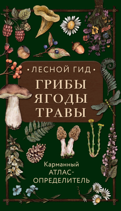 Книга: Лесной гид: грибы, ягоды, травы. Карманный атлас-определитель (Людмила Семенова) , 2023 