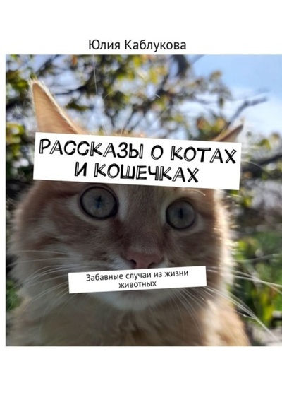 Книга: Рассказы о котах и кошечках. Забавные случаи из жизни животных (Юлия Каблукова) 